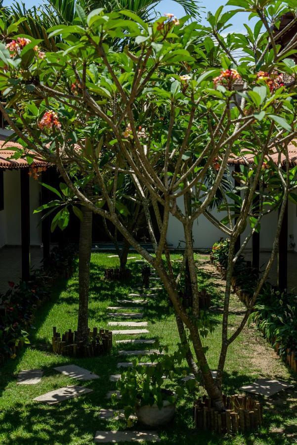 Villa Alexandre Pousada - ترانكوسو المظهر الخارجي الصورة